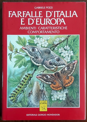 Farfalle italia europa - farfalle,
