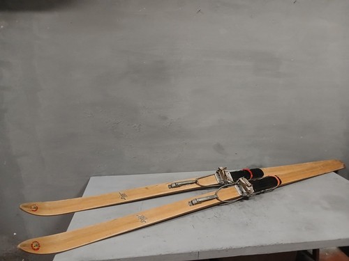 Vecchi sci loipe - vecchi,