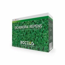 Semi prato dichondra repens gr.500 Bottos