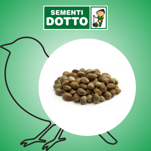 Bonus semi canapa 1kg - di,