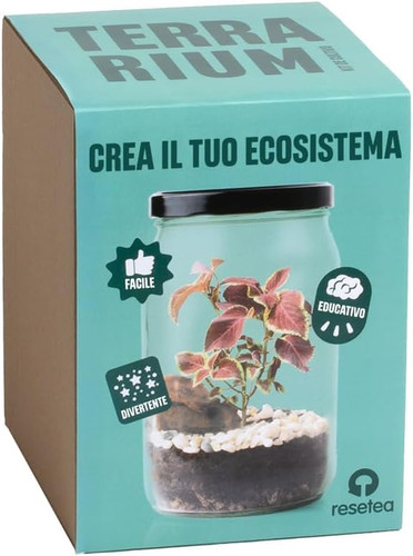 Kit terrarium crea il tuo - kit,