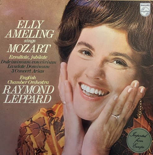 Classic music vinyl records - vinyl,