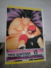 ADESIVO SUPERSTARS OF WRESTLING CENTER TV 1991 INTROVABILE TITOLO SANTANA VS MASCHERA
