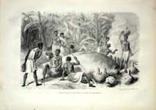 Negri che bevono il pombé