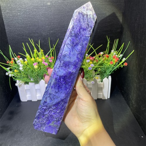 1lb purple moss - 2.1lb, 10.4"