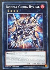 DOPPIA GUIDA RYZEAL in