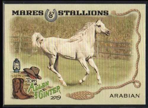 Arabian horse 2019 topps allen - arabian,