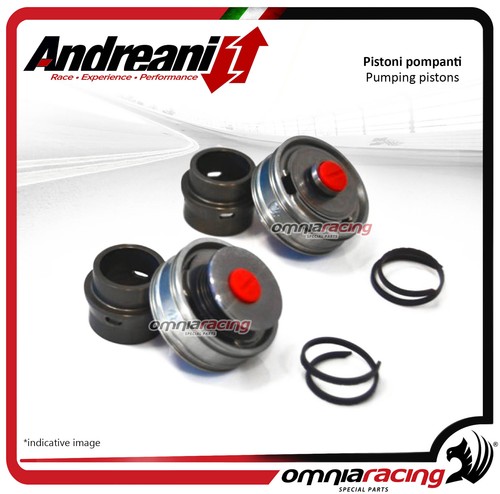 Andreani kit pistoni pompanti