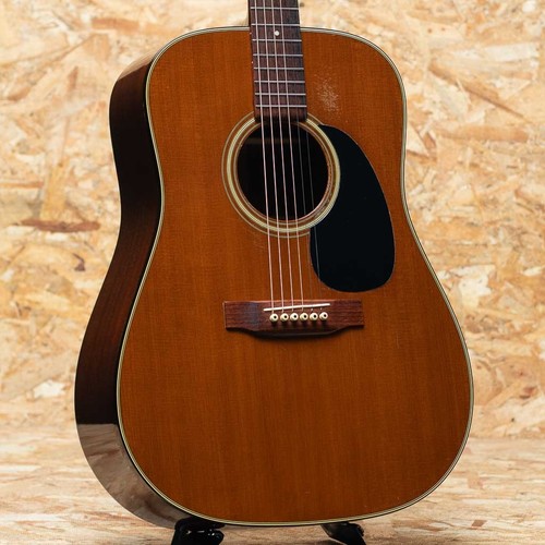 Martin 1977 - martin, d-19