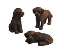 Cuccioli Labrador Cioccolato