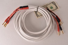 Coppia 10 piedi Audioquest