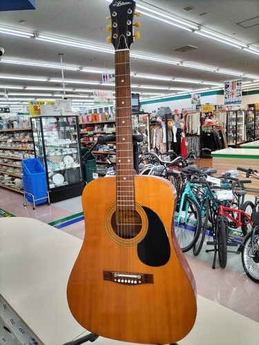 Chitarra acustica ariana w9290 - chitarra,