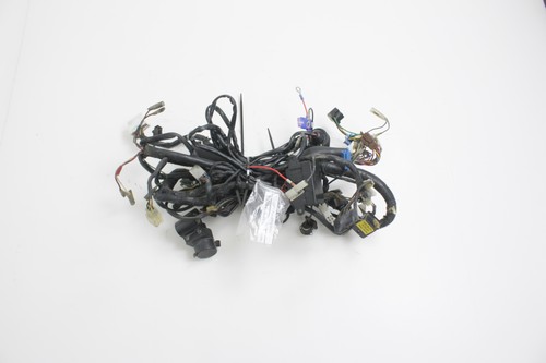 Electric bundle cablaggio - bundle,