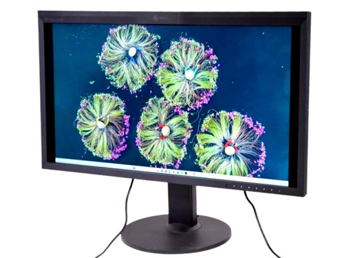 Eizo coloredge cg319x monitor - eizo,