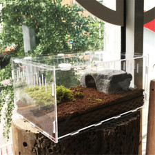 Terrario per Tartarughe