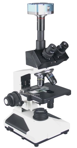 Radical 2500x microscopio - radical,