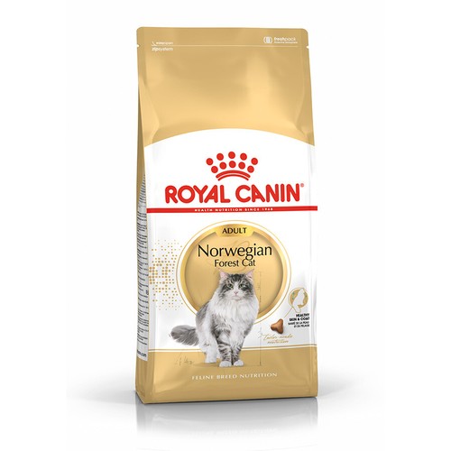 Royal canin norwegian - norwegian, forest