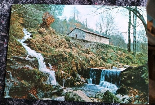 Gambarie aspromonte 1300 - gambarie, m.1300-