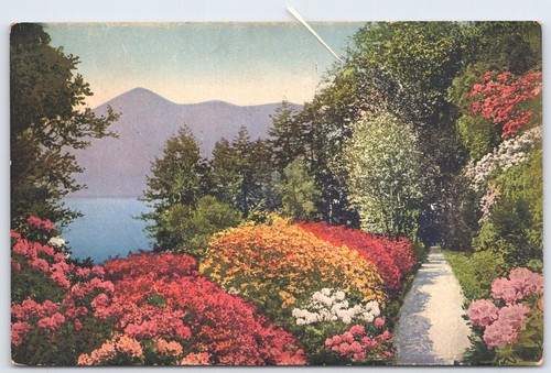 Lago como cadenabbia villa - como,