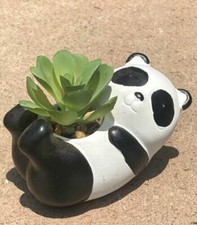 Fioriera in cemento per