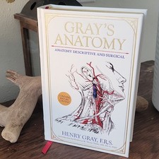 Gray's Anatomy by Henry Gray