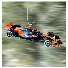 Ornamento auto McLaren F1