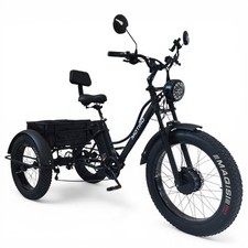 Triciclo elettrico 20/24
