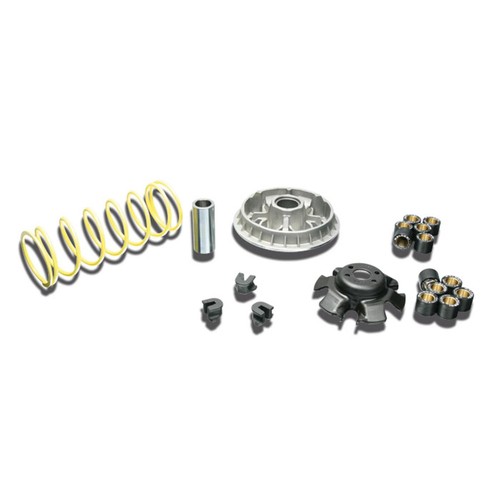 Variatore sportivo malossi - variatore,