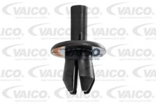 Rivetto spalancato vaico - spalancato,