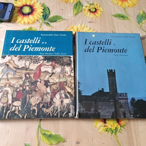 Castelli del piemonte - castelli,