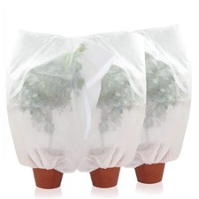 3 Cappucci per Piante da 1x1,6 mt o 2x2,4 mt Antigelo Protezione Pianta Bianco