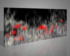 Quadro con papaveri astratti
