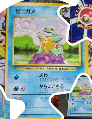 Pokemon squirtle schiggy - squirtle,