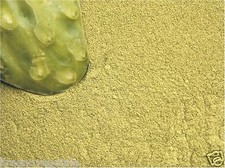 NOPAL FICO D'INDIA Opuntia