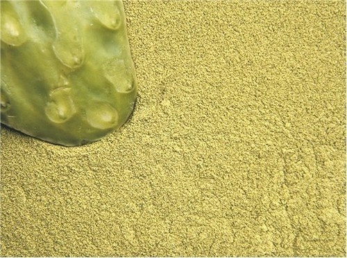 Nopal fico india opuntia - fico,