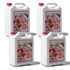 20 Litri Bioetanolo 100% | Per Caminetti | Profumo di Fragoline di Bosco | 4x5L