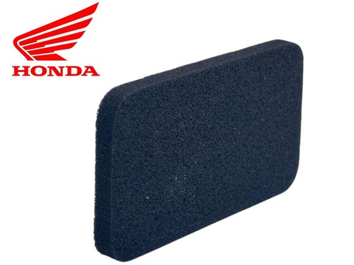 Spugna filtro aria - spugna,