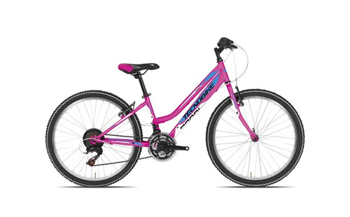 Bicicletta tecnobike mtb - 24,