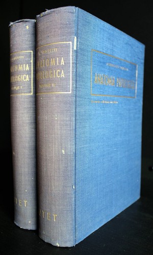 Anatomia patologica vol - 2,