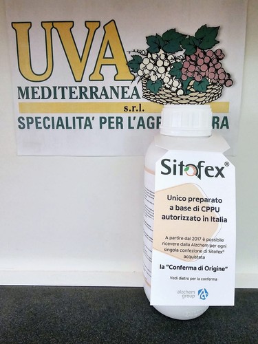 Sitofex regolatore crescita - di,