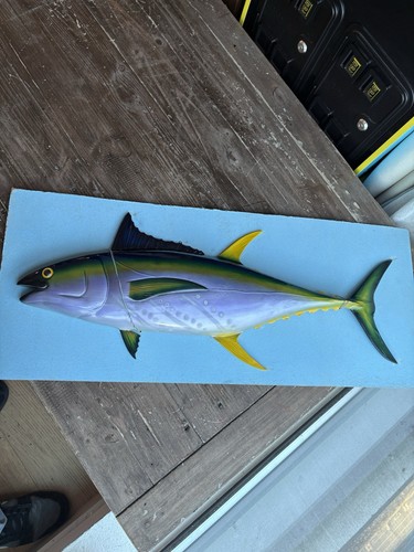 Scultura parete pesce tonno - da,
