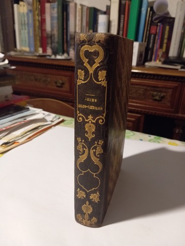 Libro cristianesimo reso - il,