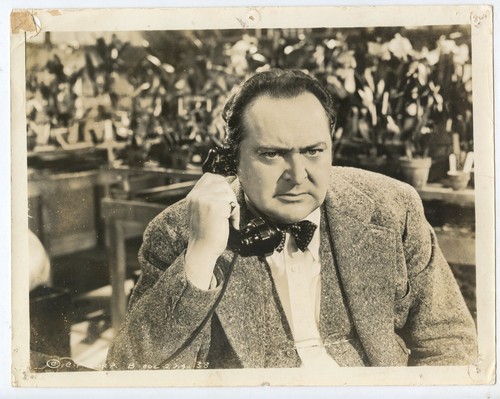 Edward arnold telefono - edward,