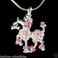 Rosa Francese Cane Barboncino