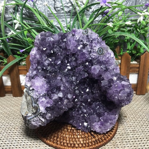 1875g ametista naturale - , geode