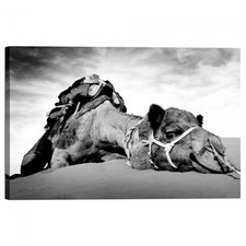 Quadro Stampa su Tela con