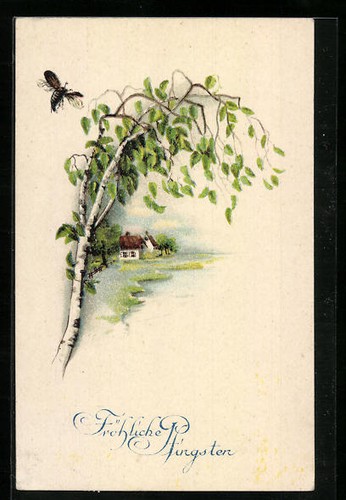 Cartolina maggiolino volante - cartolina,