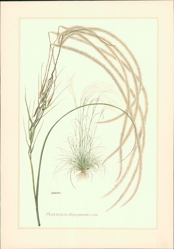 Stampa artistica - artistica,