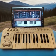 Pc  ACER + Sintetizzatori Moog,Pianoforti,Karaoke, Tastiera UMX25 Behringer