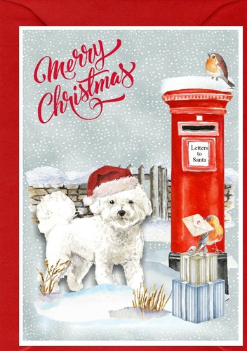 Biglietto natale bichon - biglietto,